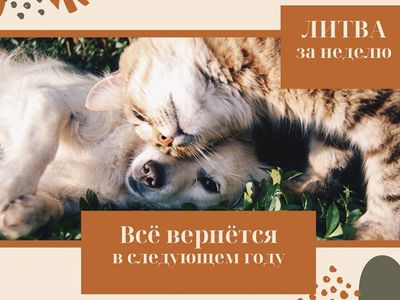 Вирус мутировал? Да бросьте, уже неинтересно: Литва за неделю (видео) - Литва и страны Балтии