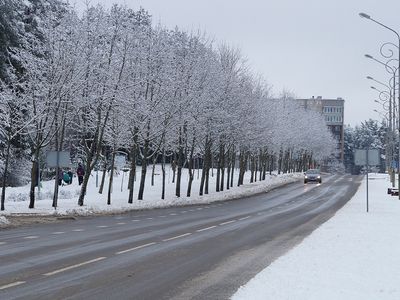 Проблемы гололеда: когда травмы по дороге на работу и с работы признаются производственными - Литва и страны Балтии
