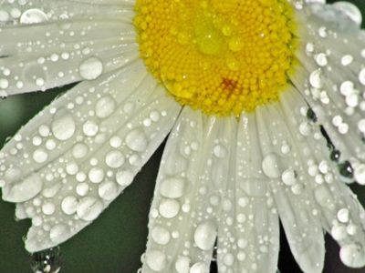 Rytoj – saulėta, sekmadienį – lietus - Lietuva ir Baltijos šalys