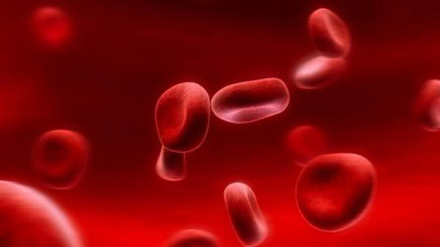 Железо — важный и… опасный микроэлемент - Наука и здоровье