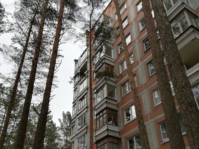 Вопрос с вырубкой деревьев у дома Седулинос, 35 решен - В Висагинасе