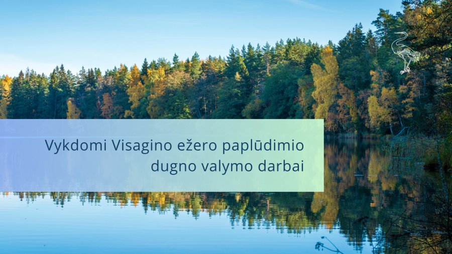 Visagino ežero paplūdimio dugno valymo darbai - Visagine