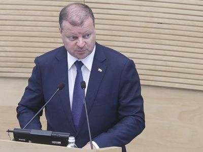 Правительство рассматривает предложение, чтобы за товары для детей можно было вернуть НДФЛ - Литва и страны Балтии