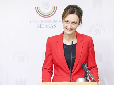 Н. Пелоси приветствует решение ужесточить порядок въезда граждан России на территорию стран Балтии и Польши - В. Чмилите-Нильсен - В Мире